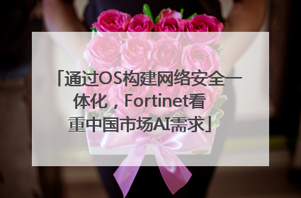 通过OS构建网络安全一体化，Fortinet看重中国市场AI需求