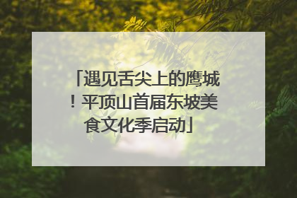 遇见舌尖上的鹰城！平顶山首届东坡美食文化季启动