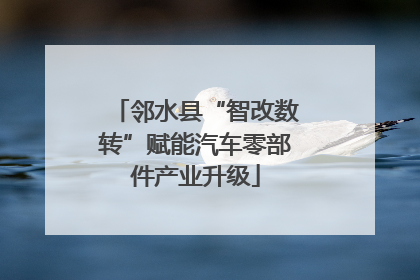 邻水县“智改数转”赋能汽车零部件产业升级