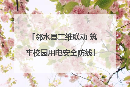 邻水县三维联动 筑牢校园用电安全防线