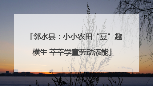 邻水县：小小农田“豆”趣横生 莘莘学童劳动添能