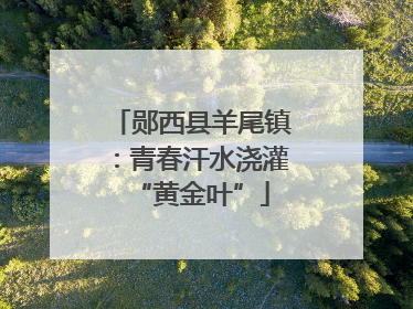 郧西县羊尾镇：青春汗水浇灌“黄金叶”