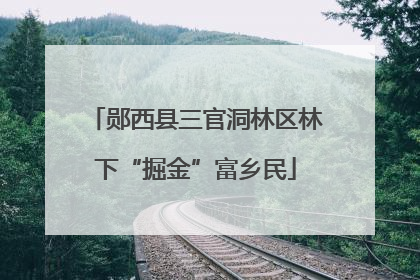 郧西县三官洞林区林下“掘金”富乡民