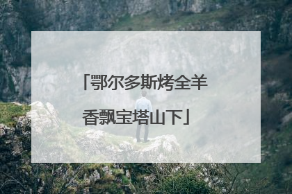 鄂尔多斯烤全羊香飘宝塔山下