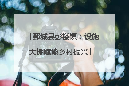 鄄城县彭楼镇：设施大棚赋能乡村振兴