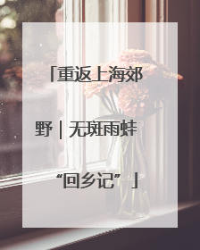 重返上海郊野｜无斑雨蛙“回乡记”
