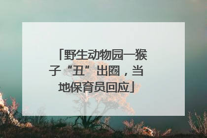 野生动物园一猴子“丑”出圈，当地保育员回应