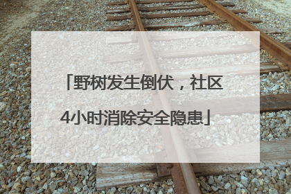 野树发生倒伏，社区4小时消除安全隐患