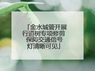 金水城管开展行道树专项修剪 保障交通信号灯清晰可见