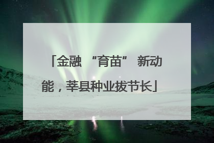 金融 “育苗” 新动能，莘县种业拔节长