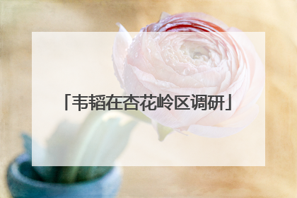 韦韬在杏花岭区调研