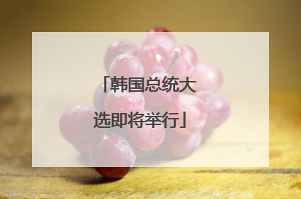 韩国总统大选即将举行