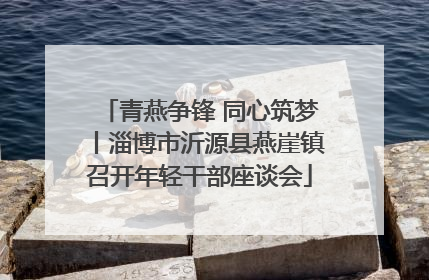 青燕争锋 同心筑梦丨淄博市沂源县燕崖镇召开年轻干部座谈会