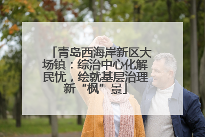 青岛西海岸新区大场镇：综治中心化解民忧，绘就基层治理新“枫”景