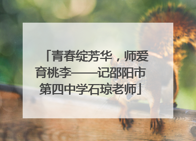 青春绽芳华，师爱育桃李——记邵阳市第四中学石琼老师