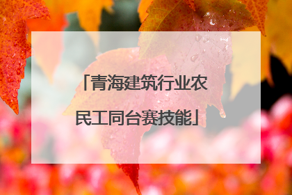 青海建筑行业农民工同台赛技能