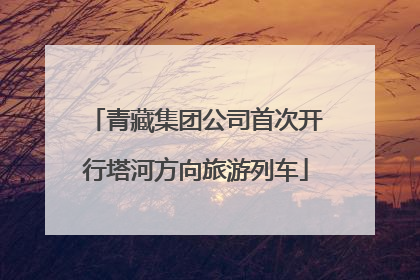青藏集团公司首次开行塔河方向旅游列车