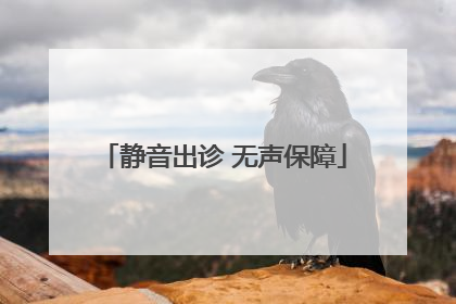 静音出诊 无声保障