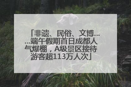 非遗、民俗、文博……端午假期首日成都人气爆棚，A级景区接待游客超113万人次