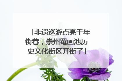 非遗巡游点亮千年街巷，崇州罨画池历史文化街区开街了