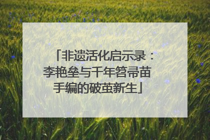 非遗活化启示录：李艳垒与千年笤帚苗手编的破茧新生