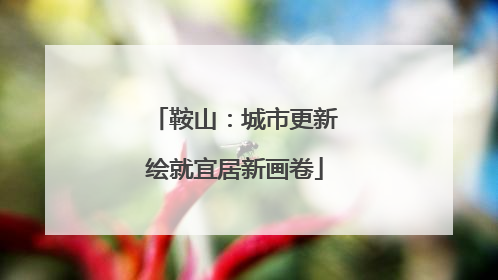 鞍山：城市更新绘就宜居新画卷