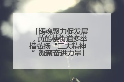 铸魂聚力促发展，黄鹤楼街道多举措弘扬“三大精神”凝聚奋进力量
