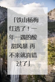 铁山杨梅红透了！一年一遇的酸甜风暴 再不来就真错过了