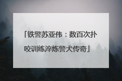 铁警苏亚伟：数百次扑咬训练淬炼警犬传奇