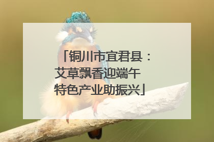 铜川市宜君县：艾草飘香迎端午 特色产业助振兴