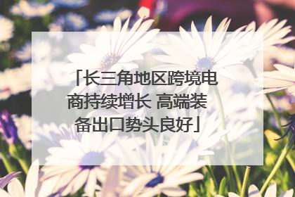 长三角地区跨境电商持续增长 高端装备出口势头良好