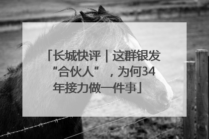 长城快评｜这群银发“合伙人”，为何34年接力做一件事