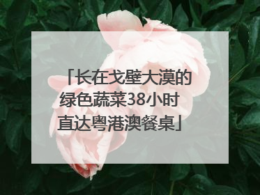 长在戈壁大漠的绿色蔬菜38小时直达粤港澳餐桌