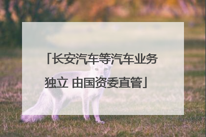长安汽车等汽车业务独立 由国资委直管