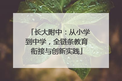 长大附中：从小学到中学，全链条教育衔接与创新实践