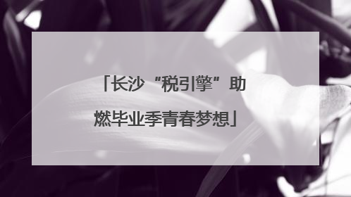 长沙“税引擎”助燃毕业季青春梦想