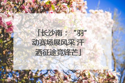 长沙南：“羽”动赛场展风采 汗洒征途竞锋芒