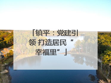 镇平：党建引领 打造居民“幸福里”