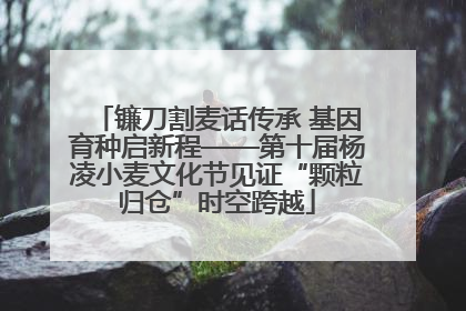 镰刀割麦话传承 基因育种启新程——第十届杨凌小麦文化节见证“颗粒归仓”时空跨越