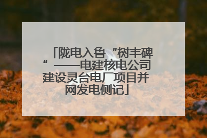 陇电入鲁“树丰碑”——电建核电公司建设灵台电厂项目并网发电侧记