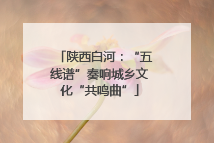 陕西白河：“五线谱”奏响城乡文化“共鸣曲”