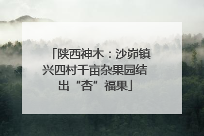 陕西神木：沙峁镇兴四村千亩杂果园结出“杏”福果