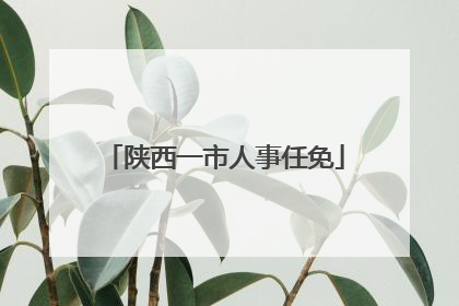 陕西一市人事任免