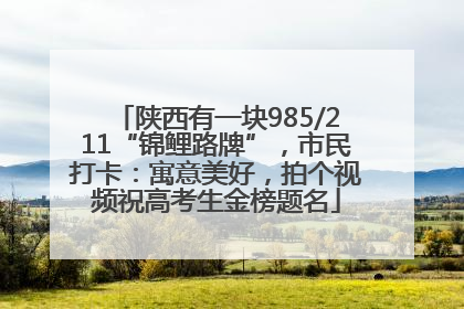 陕西有一块985/211“锦鲤路牌”，市民打卡：寓意美好，拍个视频祝高考生金榜题名