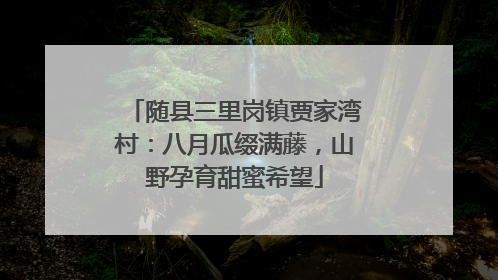 随县三里岗镇贾家湾村：八月瓜缀满藤，山野孕育甜蜜希望