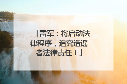 雷军：将启动法律程序，追究造谣者法律责任！