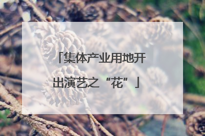 集体产业用地开出演艺之“花”