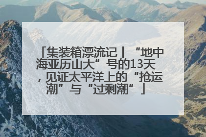 集装箱漂流记丨“地中海亚历山大”号的13天，见证太平洋上的“抢运潮”与“过剩潮”