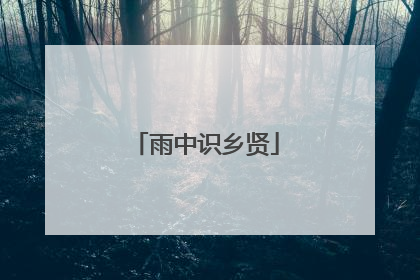 雨中识乡贤