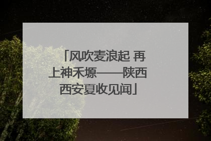 风吹麦浪起 再上神禾塬——陕西西安夏收见闻